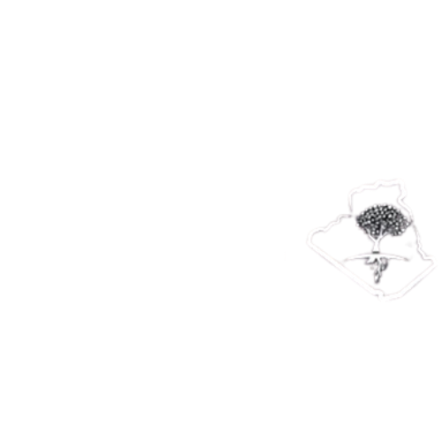 الرئيسة 25